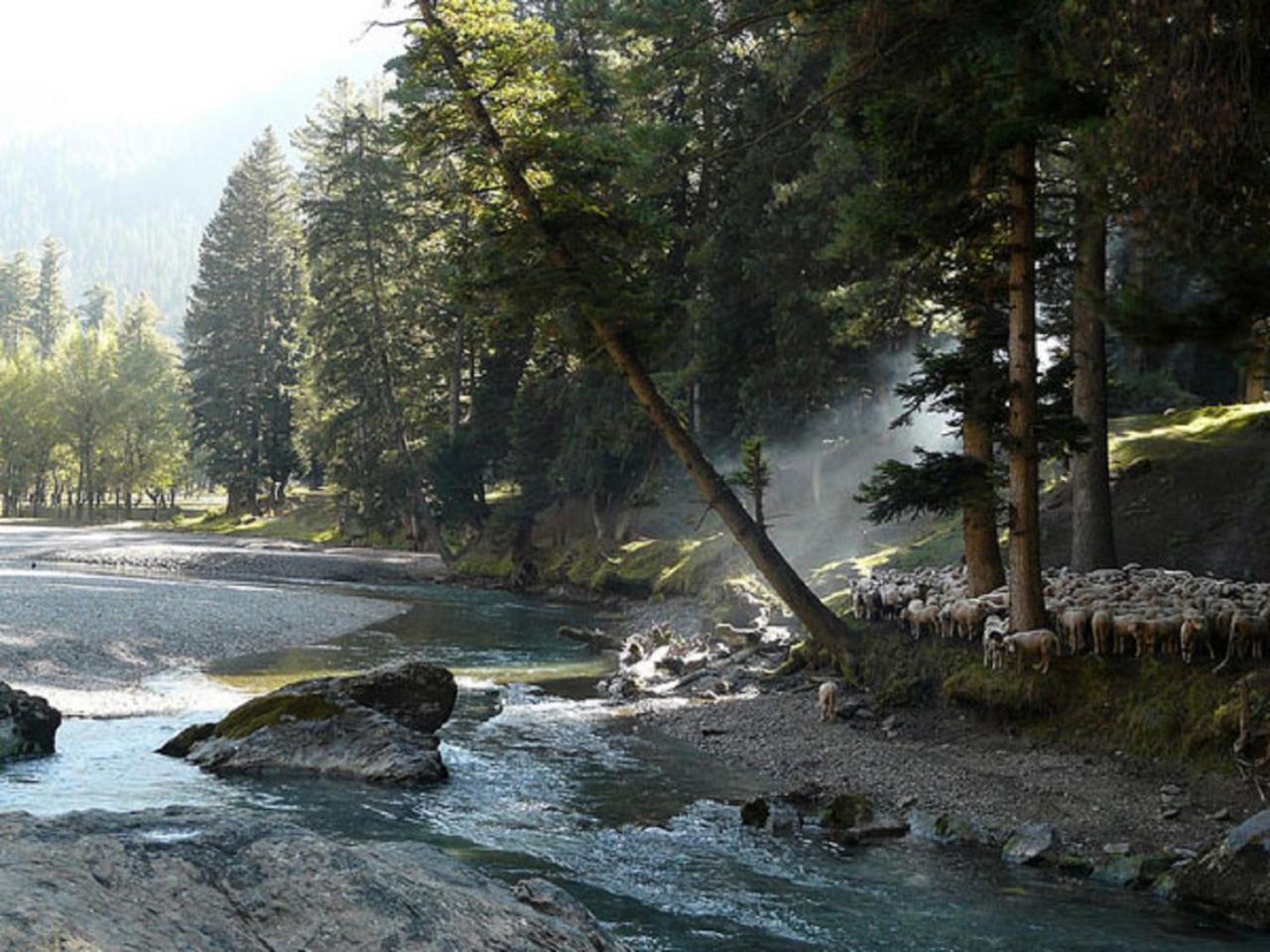 Hayat Hotel Pahalgam Ngoại thất bức ảnh